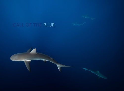 Бумажная книга «Call of the Blue», автор Филлип Гамильтон - фото №1