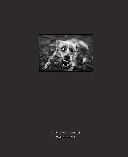 Бумажная книга «The Animals», автор Джакомо Брунелли - фото №1