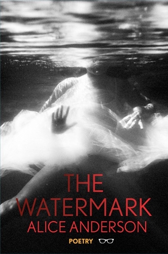 Бумажная книга «The Watermark», автор Алиса Андерсон - фото №1