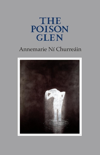 Бумажная книга «The Poison Glen», автор Аннемари Ни Чуррейн - фото №1