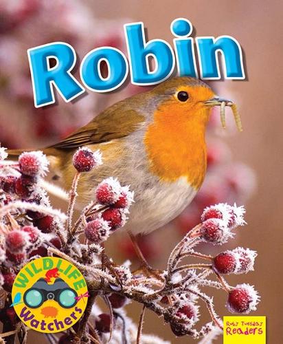 Бумажная книга «Wildlife Watchers: Robin», автор Рут Оуэн - фото №1