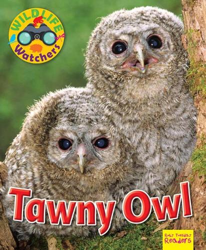 Бумажная книга «Wildlife Watchers: Tawny Owl», автор Рут Оуэн - фото №1