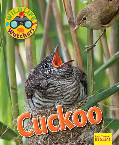 Бумажная книга «Wildlife Watchers: Cuckoo», автор Рут Оуэн - фото №1