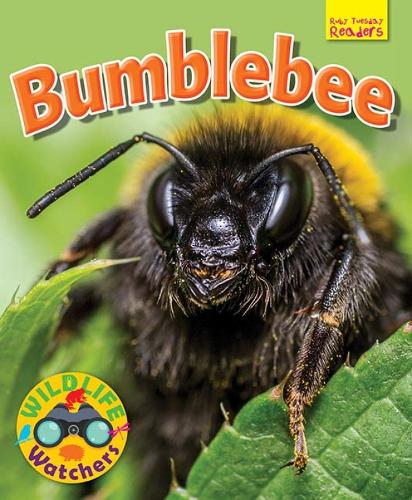 Бумажная книга «Wildlife Watchers: Bumblebee», автор Рут Оуэн - фото №1