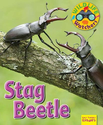 Паперова книга «Wildlife Watchers: Stag Beetle», автор Рут Оуен - фото №1