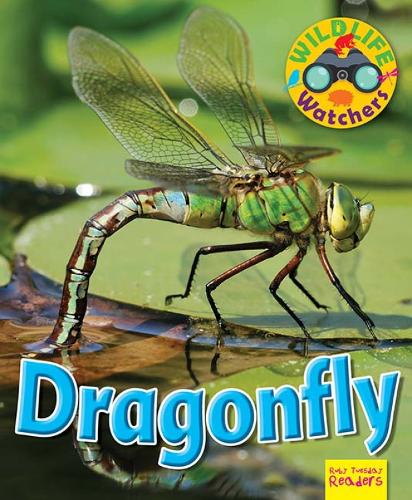 Бумажная книга «Wildlife Watchers: Dragonfly», автор Рут Оуэн - фото №1