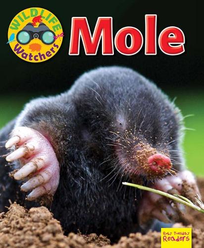 Паперова книга «Wildlife Watchers: Mole», автор Рут Оуен - фото №1