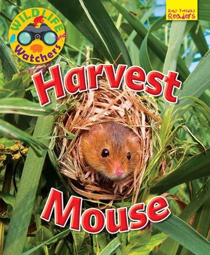 Паперова книга «Wildlife Watchers: Harvest Mouse», автор Рут Оуен - фото №1
