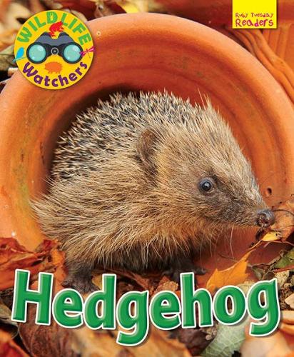 Бумажная книга «Wildlife Watchers: Hedgehog», автор Рут Оуэн - фото №1