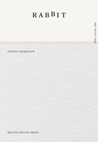 Паперова книга «Rabbit», автор Софі Робінсон - фото №1