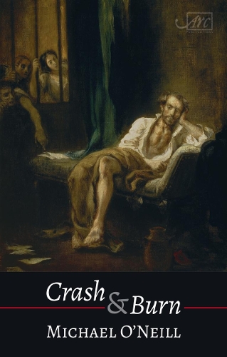 Паперова книга «Crash & Burn», автор Майкл О'Ніл - фото №1