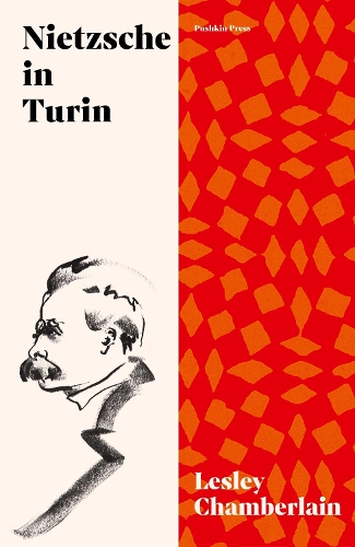 [object Object] «Nietzsche in Turin: The End of the Future», автор Лесли Чемберлен - фото №1