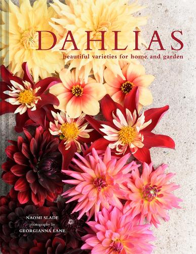 Бумажная книга «Dahlias: Beautiful varieties for home and garden», авторов Джорджиана Лейн, Наоми Слэйд - фото №1