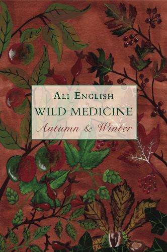 Бумажная книга «Wild Medicine, Autumn and Winter: Autumn and Winter», автор Али Инглиш - фото №1