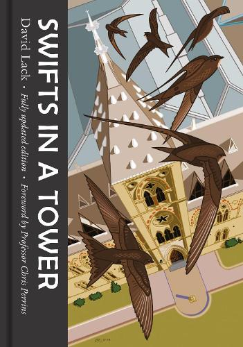 Бумажная книга «Swifts in a Tower», автор Дэвид Лэк - фото №1