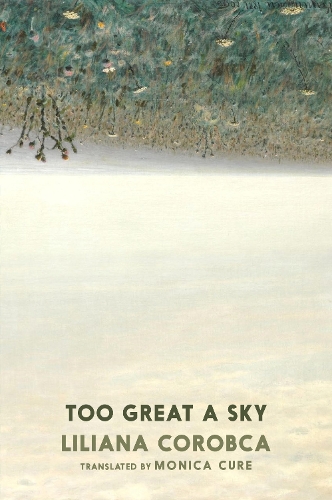 Бумажная книга «Too Great A Sky», автор Лилиана Коробка - фото №1