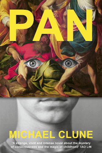 Бумажная книга «Pan», автор Майкл В. Клун - фото №1