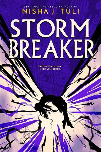 Паперова книга «Storm Breaker», автор Ніша Дж. Тулі - фото №1