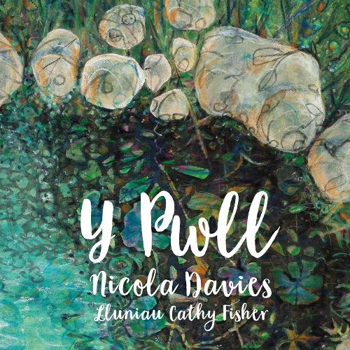 Бумажная книга «Pwll, Y», автор Никола Дэвис - фото №1