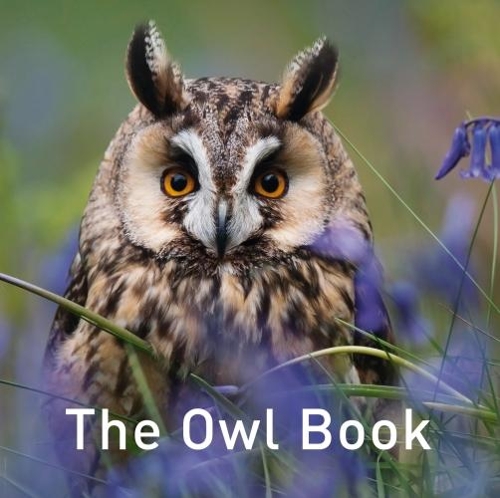Бумажная книга «Nature Book Series, The: The Owl Book», автор Джейн Расс - фото №1