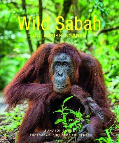 Бумажная книга «Wild Sabah (2nd edition)», автор Джунаиди Пейн - фото №1
