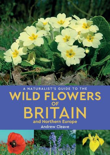 Бумажная книга «A Naturalist's Guide to the Wild Flowers of Britain and Northern Europe (2nd edition)», автор Эндрю Клив - фото №1