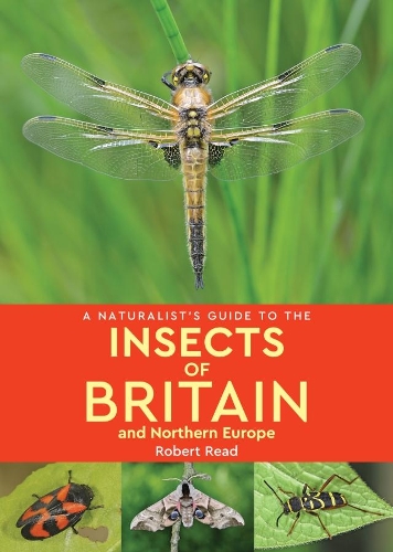 Бумажная книга «A Naturalist's Guide to the Insects of Britain and Northern Europe (2nd edition)», автор Роберт Рид - фото №1