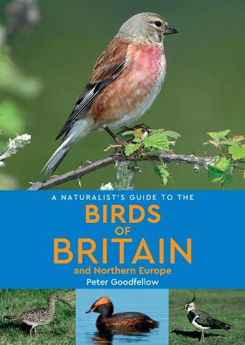Бумажная книга «A Naturalist's Guide to the Birds of Britain and Northern Europe (2nd edition)», автор Питер Гудфеллоу - фото №1
