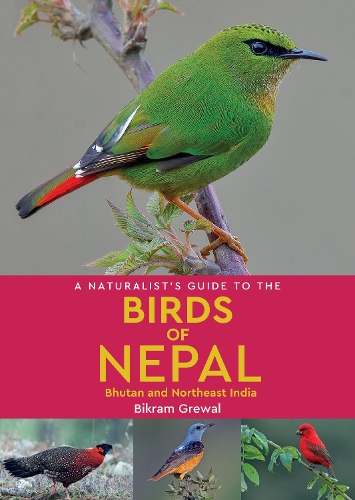 Бумажная книга «A Naturalist's Guide to the Birds of Nepal», автор Бикрам Грюал - фото №1