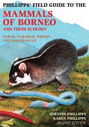 Бумажная книга «Phillipps Field Guide to the Mammals of Borneo (2nd edition)», автор Квентин Филлипс - фото №1