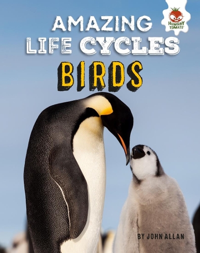 Бумажная книга «Birds - Amazing Life Cycles», автор Джон Аллан - фото №1