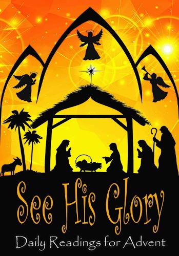 Бумажная книга «See His Glory», автор Мэтью Бартлетт - фото №1
