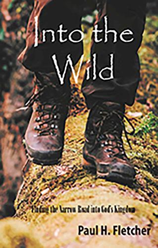 Паперова книга «Into the Wild», автор Пол Флетчер - фото №1