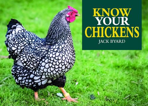 Бумажная книга «Know Your Chickens», автор Джек Бьяд - фото №1