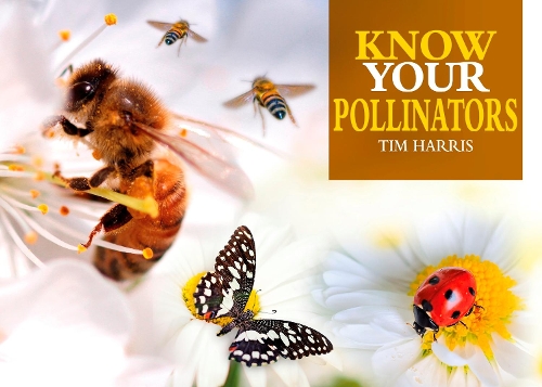 Паперова книга «Know Your Pollinators», автор Тім Гарріс - фото №1