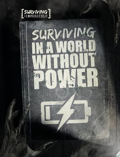 Паперова книга «Surviving in a World Without Power», автор Чарлі Огден - фото №1