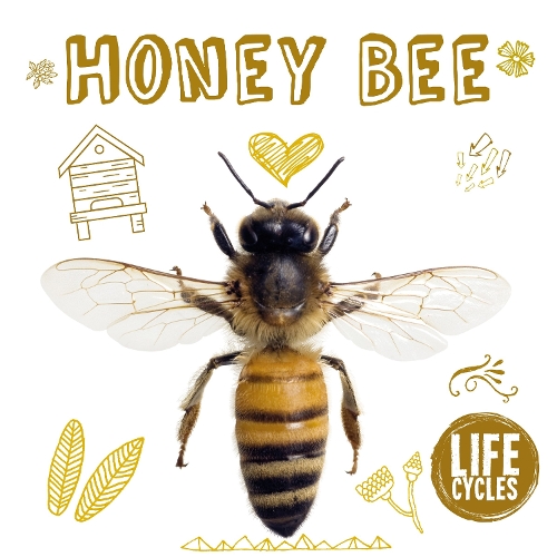 Паперова книга «Honey Bee», автор Грейс Джонс - фото №1