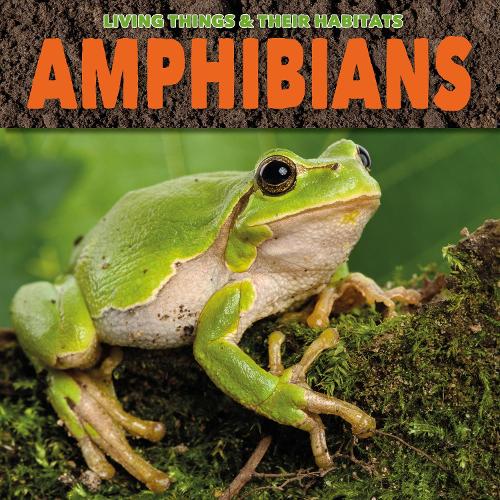 Паперова книга «Amphibians», автор Грейс Джонс - фото №1