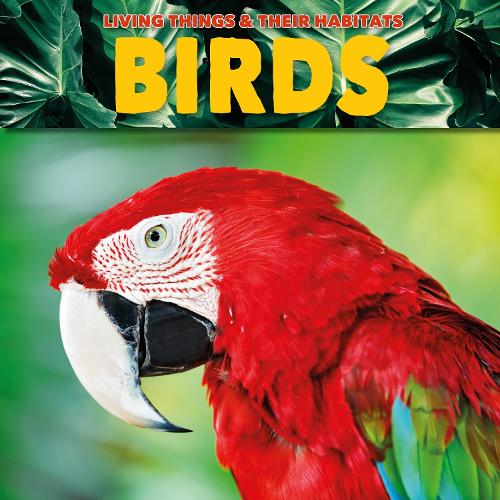 Паперова книга «Birds», автор Грейс Джонс - фото №1