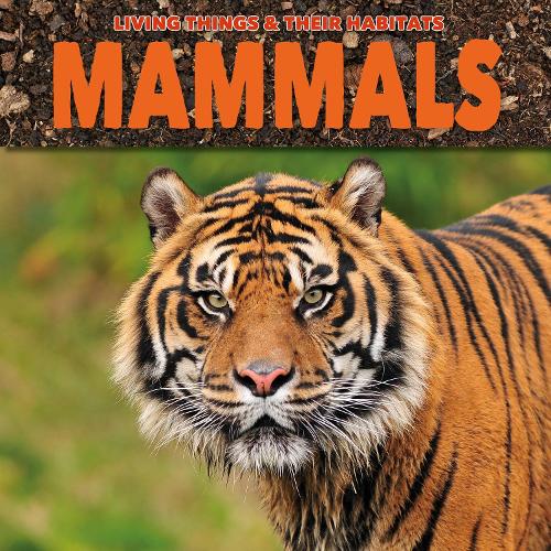 Паперова книга «Mammals», автор Грейс Джонс - фото №1