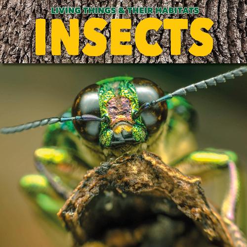 Бумажная книга «Insects», автор Грейс Джонс - фото №1