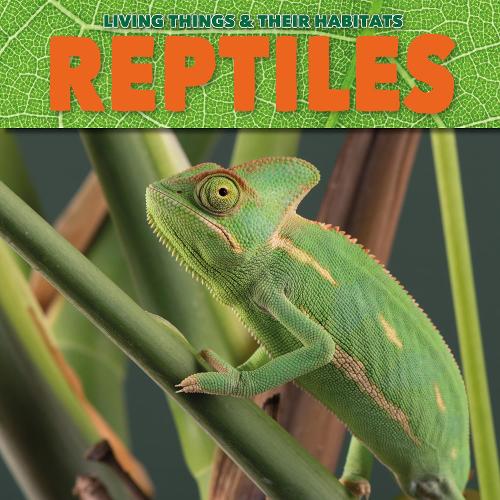 Паперова книга «Reptiles», автор Грейс Джонс - фото №1