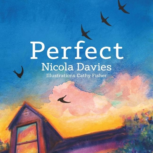 Паперова книга «Perfect», автор Никола Дэвис - фото №1