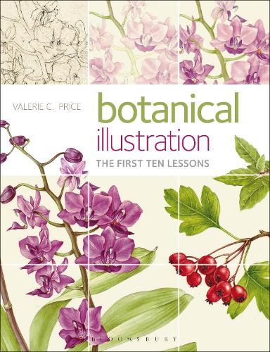 Бумажная книга «Botanical Illustration: The First Ten Lessons», автор Валери Прайс - фото №1