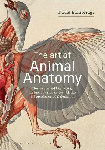 Бумажная книга «The Art of Animal Anatomy: All Life is Here, Dissected and Depicted», автор Дэвид Бейнбридж - фото №1