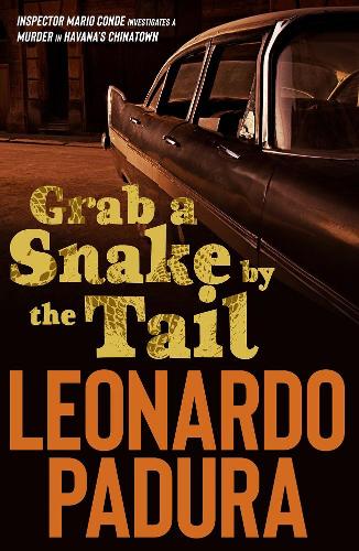 Бумажная книга «Grab a Snake by the Tail», автор Леонардо Падура - фото №1