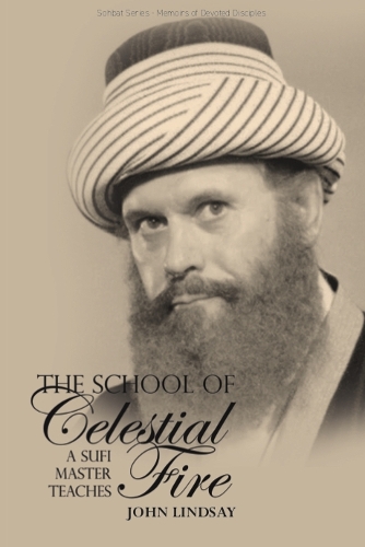 Бумажная книга «The School of Celestial Fire», автор Джон Линдсей - фото №1