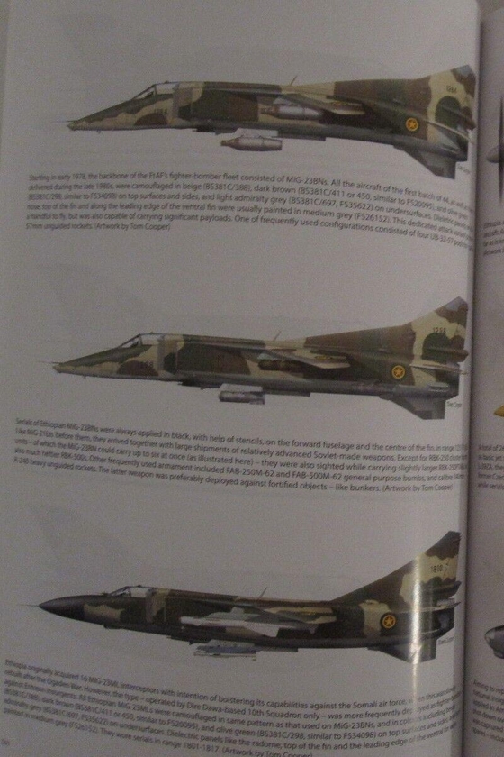 Электронная книга «Ethiopian-Eritrean Wars Volume 1», авторов Адриан Фонтанеллаз, Том Купер - фото №1
