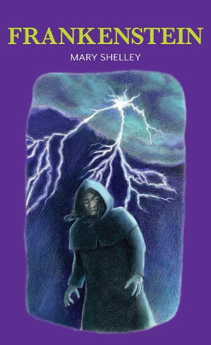 Бумажная книга «Frankenstein», автор Мэри Шелли - фото №1