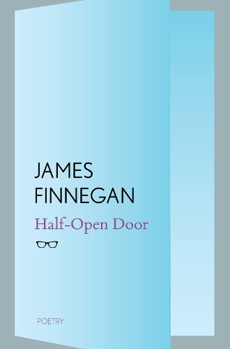 Бумажная книга «Half-Open Door», автор Джеймс Финнеган - фото №1